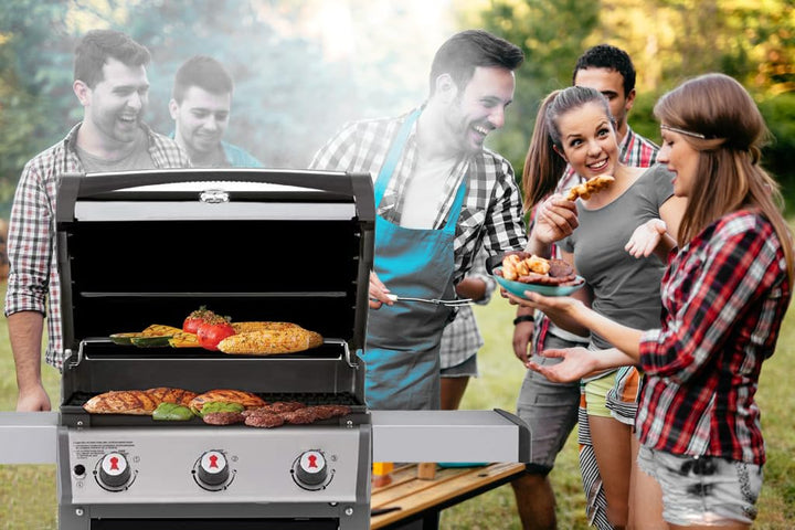 weber flavorizer bars spirit ii